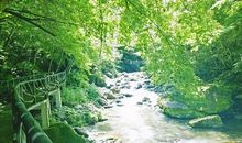 倾听自然，感受自然