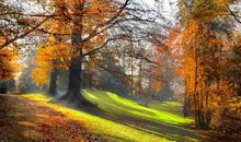 秋天的意境浓了