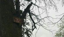 记忆深处最值得珍惜的画面