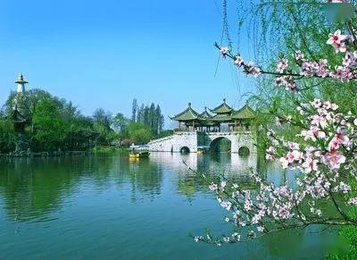 蜻点水