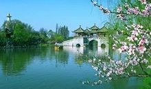 蜻蜓点水般的关怀