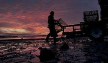 定格在晨曦中的一幕