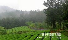 春游竹乡百草园