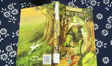 《戴牙套的青蛙王子》读后感