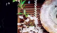 生命需平静对待