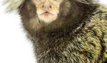 触动我心灵的眼神