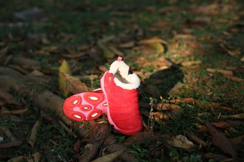 今年冬天你陪同