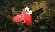 这个冬天有你陪伴