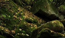 涵养心中的溪流