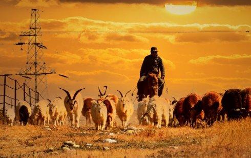 忙碌的爱和喜悦