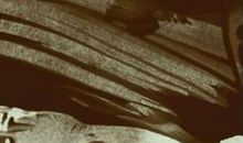 走在撒哈拉——《撒哈拉的故事》读后感