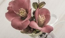 母爱在身后绽放