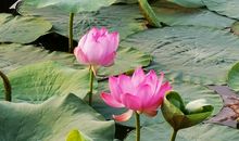 我见证了家乡的巨变