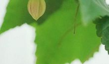 春天的一个瞬间