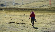 不曾远去的背影