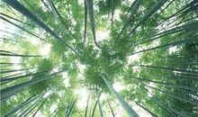 一双手，一片天