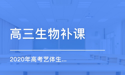 高三补充类... _1500字