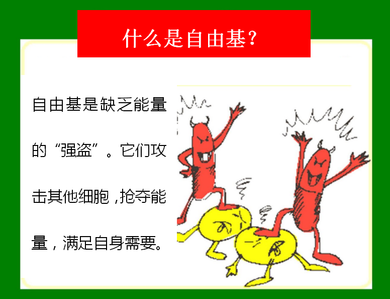 什么是自由
