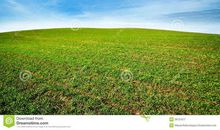 带着心中的绿色，共建一片蓝天