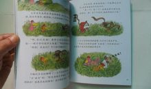 郎朗是这样练成读后感