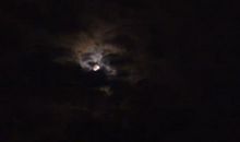 舌尖上的华尔兹