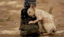 这个冬天有寒冷也有温暖