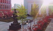 静候花开——理性爱国