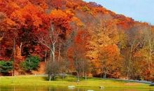 保持一颗宁静的心