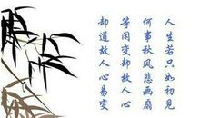 若只如初——读《人生若只如初见》有感