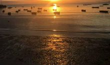 不朽红日映大地