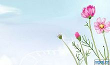 阅读让生命更美丽