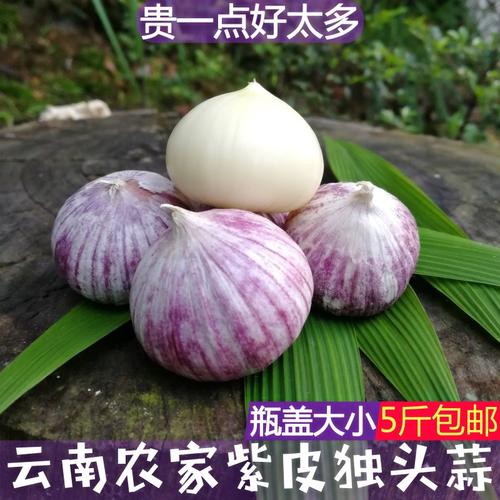 大蒜变形