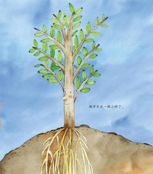 我和奉献一起成长