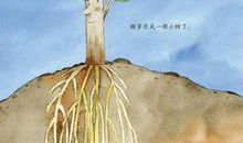 我和奉献一起成长