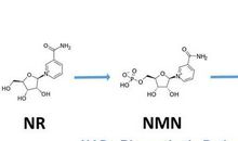 粗暴何妨，有效便好