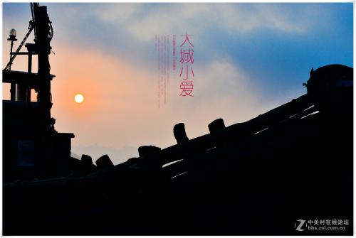大城市，小爱