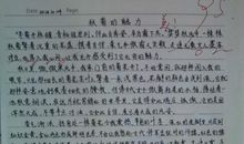 我心中最美的人作文