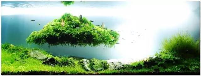 我将永远是你身体下的草。