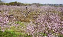 那一刻，我心里春暖花开