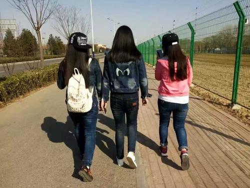 单片