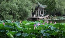 书，一抹怡人的清风