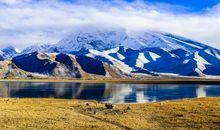 这才是真正的风景