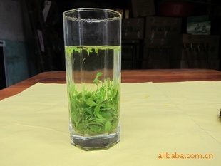 一杯苦茶