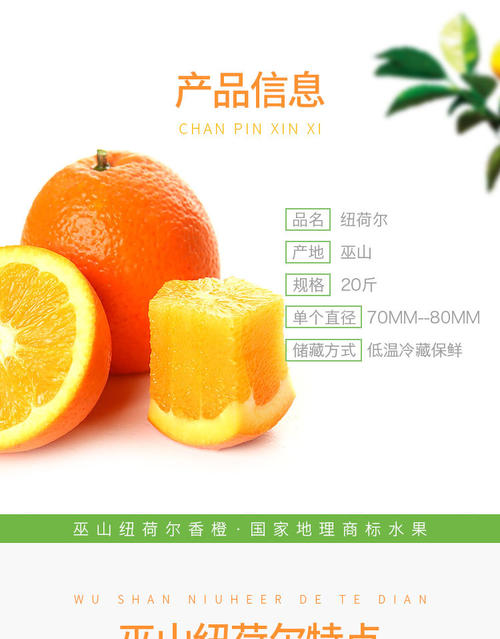读这个城市