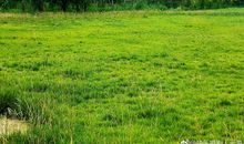 我对食品谷的了解