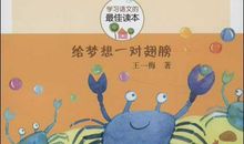 给梦想一对翅膀读后感