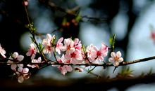 三月的阳光很暖