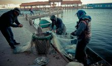 别样的美，令人心动