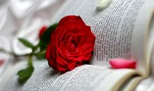 读书，怎么了——书香人生路征文