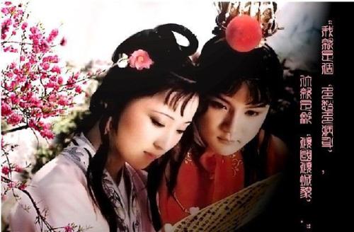 梦中的另一个世界 - 阅读“红色豪宅的梦想”